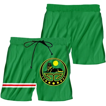 LCFA Yeşil Çeçenistan Bağımsız Cumhuriyeti Ulusal Bayrak 2 parça Yaz Rahat Erkek T-shirt Ve Şort Takım Elbise Özel Kısa kollu