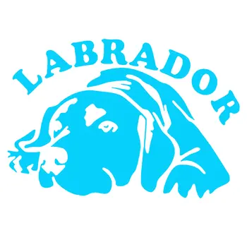Sevimli Labrador Köpek otomobil araç Vücut Pencere Yansıtıcı Çıkartmaları Sticker Dekorasyon